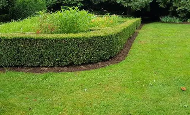 Création et entretien d'espaces verts, Hesdin, Laurent Paysagiste