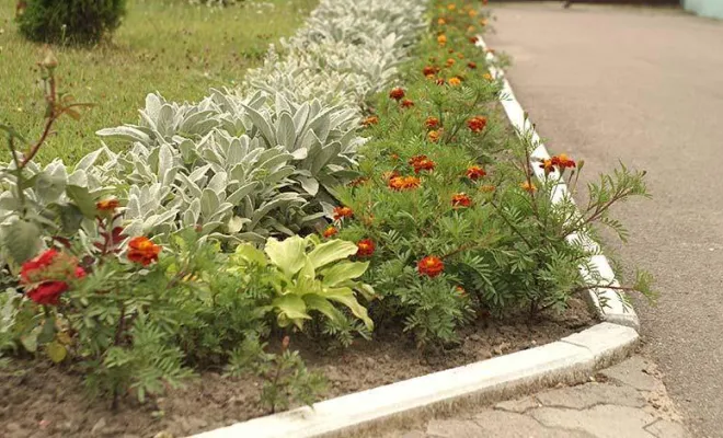 Création et entretien d'espaces verts, Hesdin, Laurent Paysagiste